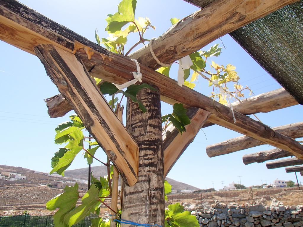 Pavlosx2 Folegandros Town Luaran gambar