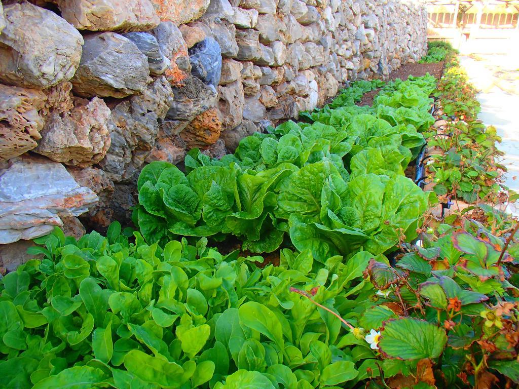 Pavlosx2 Folegandros Town Luaran gambar